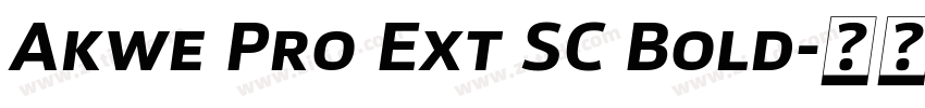 Akwe Pro Ext SC Bold字体转换